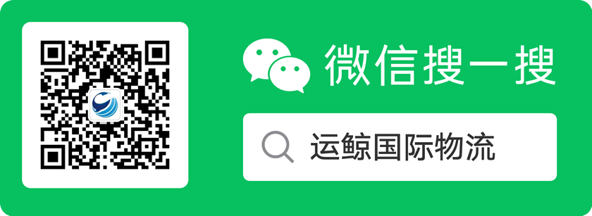 逐梦国际官方网站图片